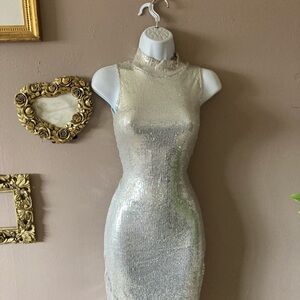 Elegant Silver Sequin Dress